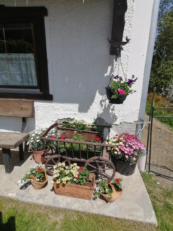 Ferienwohnung Riedbach إنسبروك المظهر الخارجي الصورة