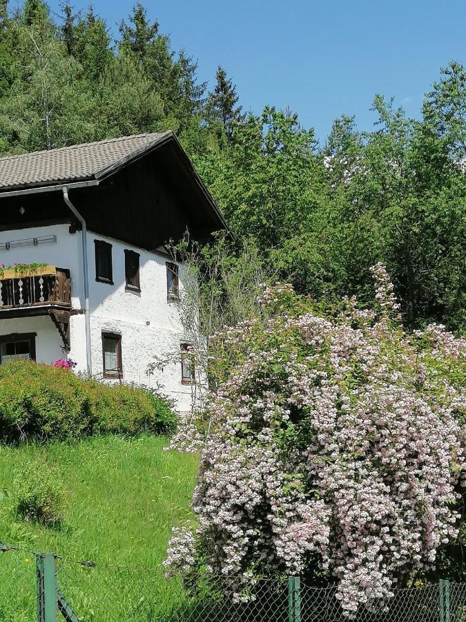 Ferienwohnung Riedbach إنسبروك المظهر الخارجي الصورة